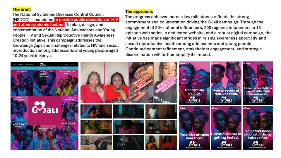 National Syndemic Disease Control Council – NSDCC project